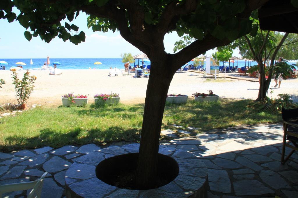 Fasoli Studios Paralia Panteleimonos Dış mekan fotoğraf