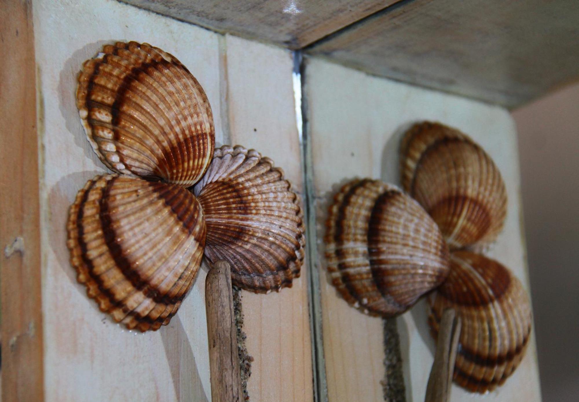 Fasoli Studios Paralia Panteleimonos Dış mekan fotoğraf