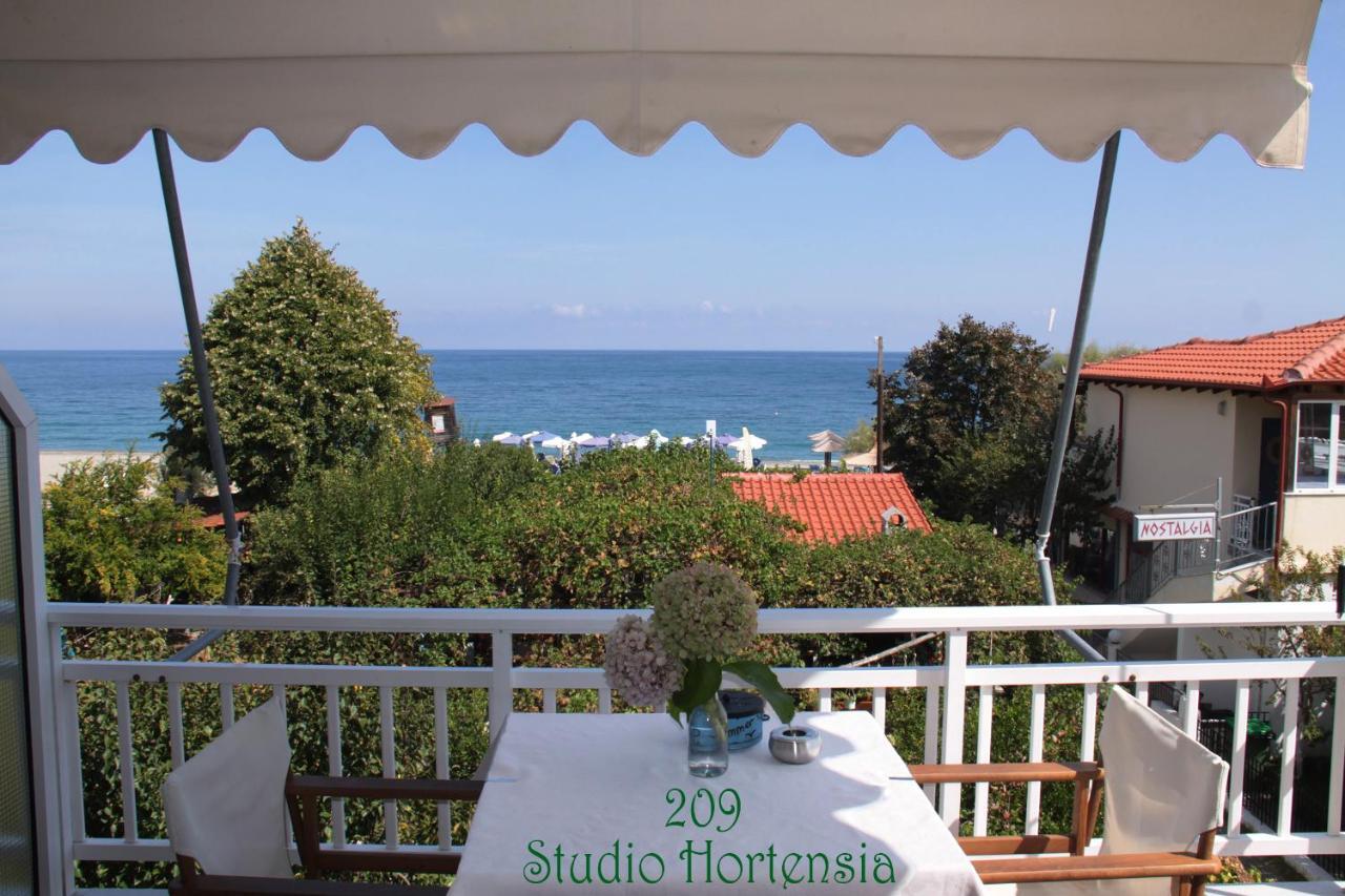 Fasoli Studios Paralia Panteleimonos Dış mekan fotoğraf